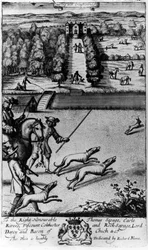 Course avec des lévriers, de 